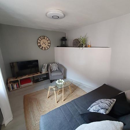 Le Petit Fleck Apartment Haguenau Ngoại thất bức ảnh