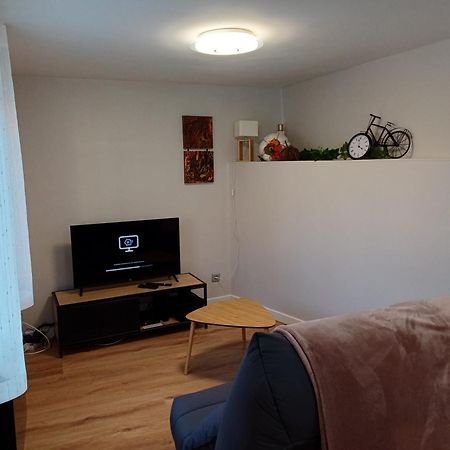 Le Petit Fleck Apartment Haguenau Ngoại thất bức ảnh