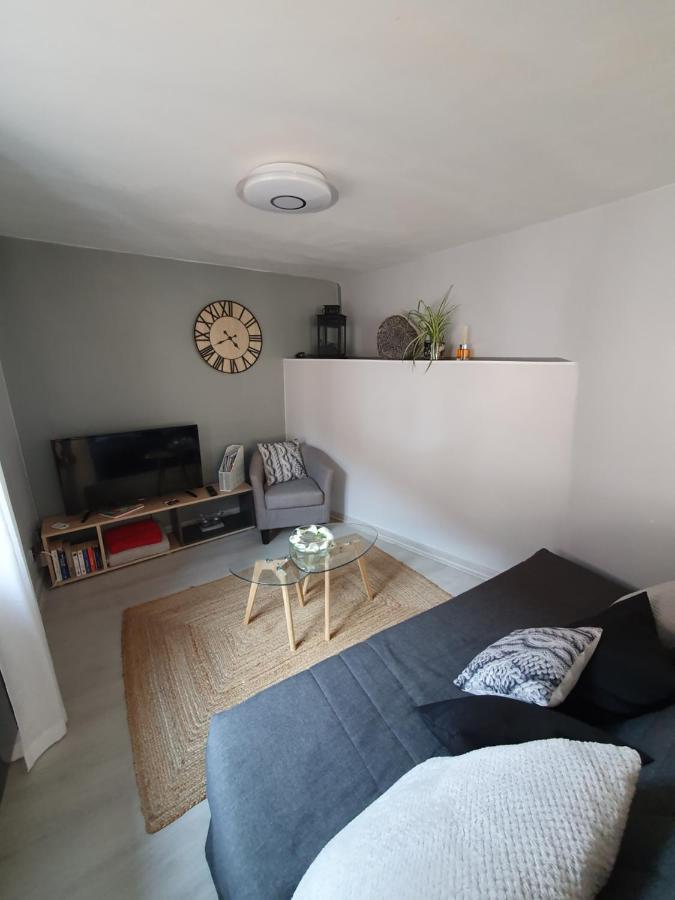 Le Petit Fleck Apartment Haguenau Ngoại thất bức ảnh