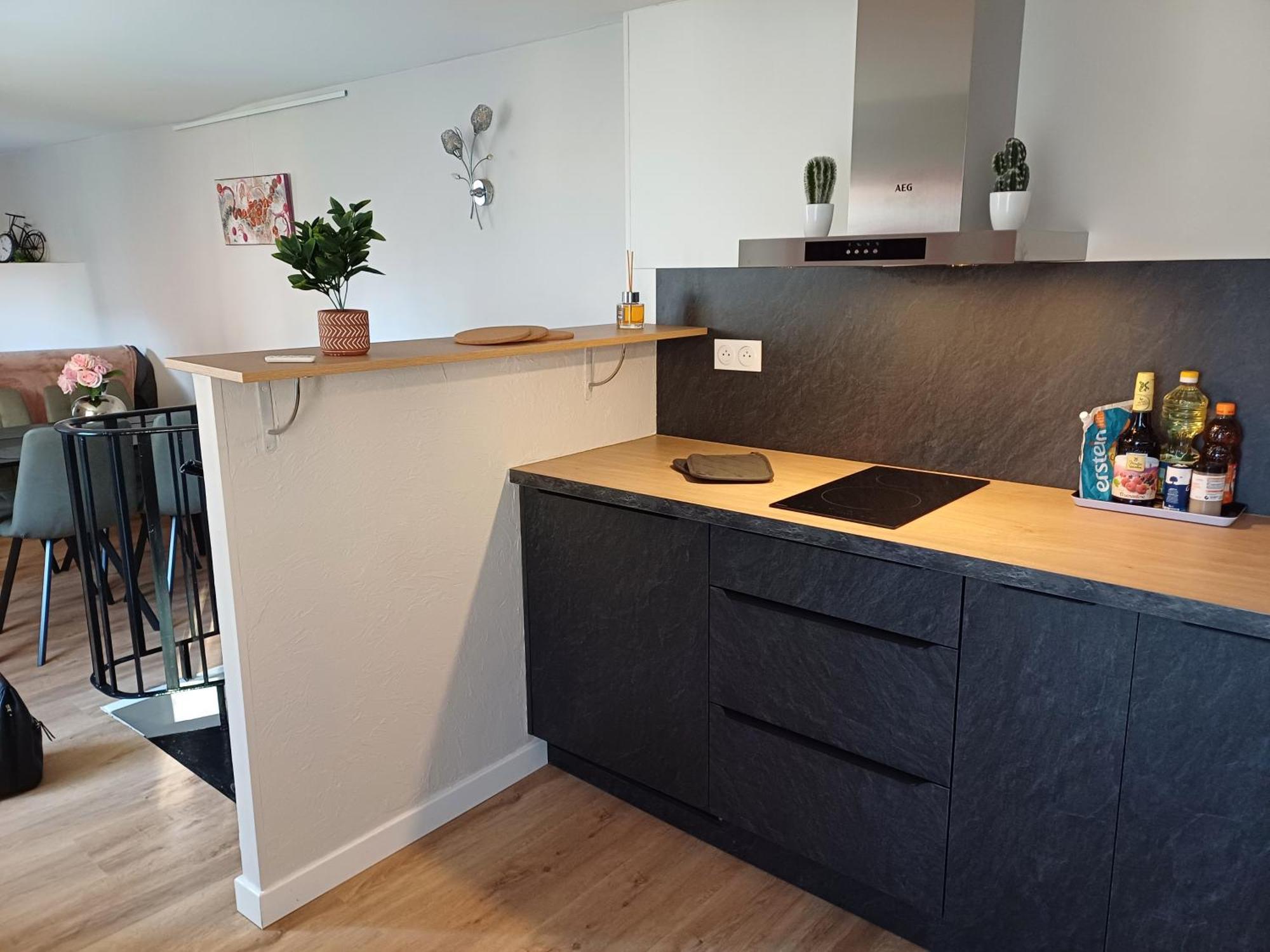 Le Petit Fleck Apartment Haguenau Ngoại thất bức ảnh